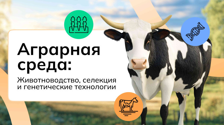 Россия - мои горизонты.